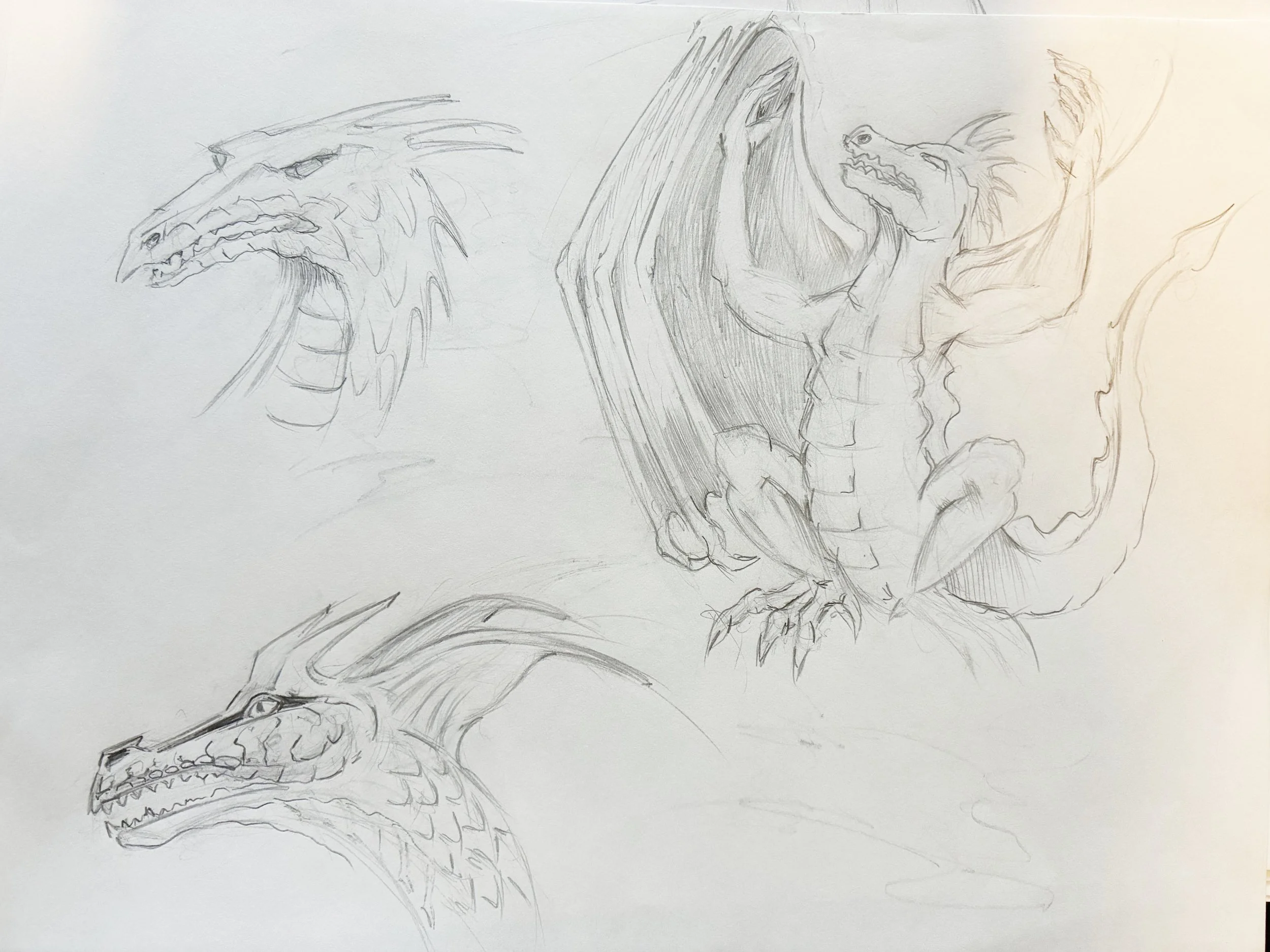 Exploring dragons