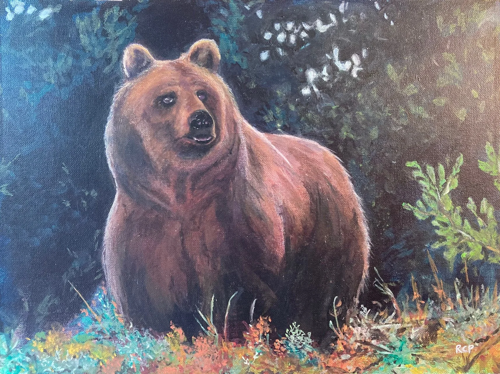 Brown Bear - Acrylic