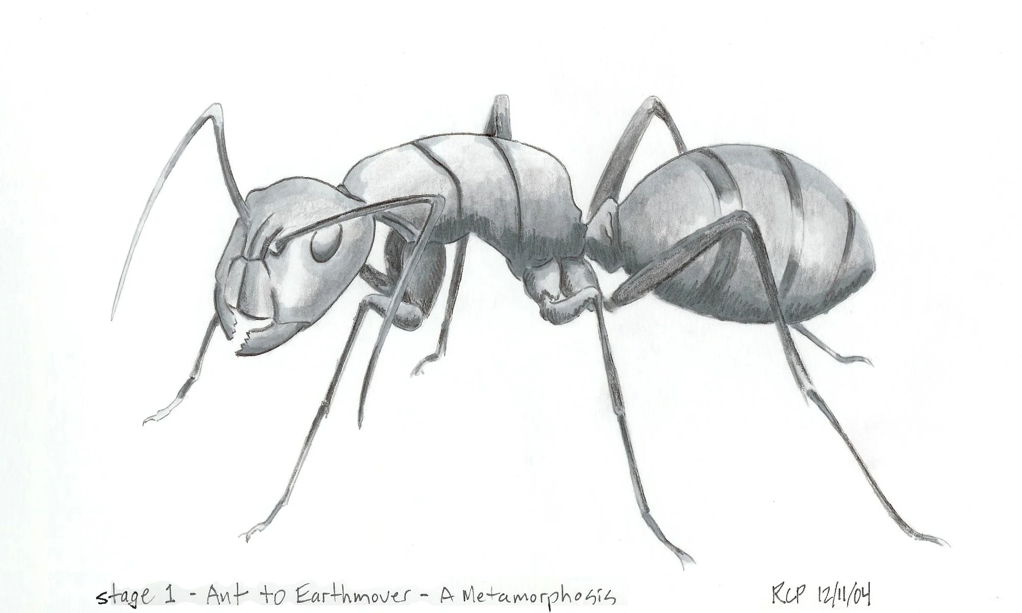 Ant - Pencil and marker