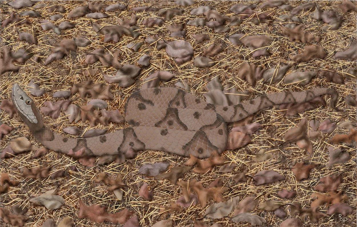 Copperhead with Camouflage