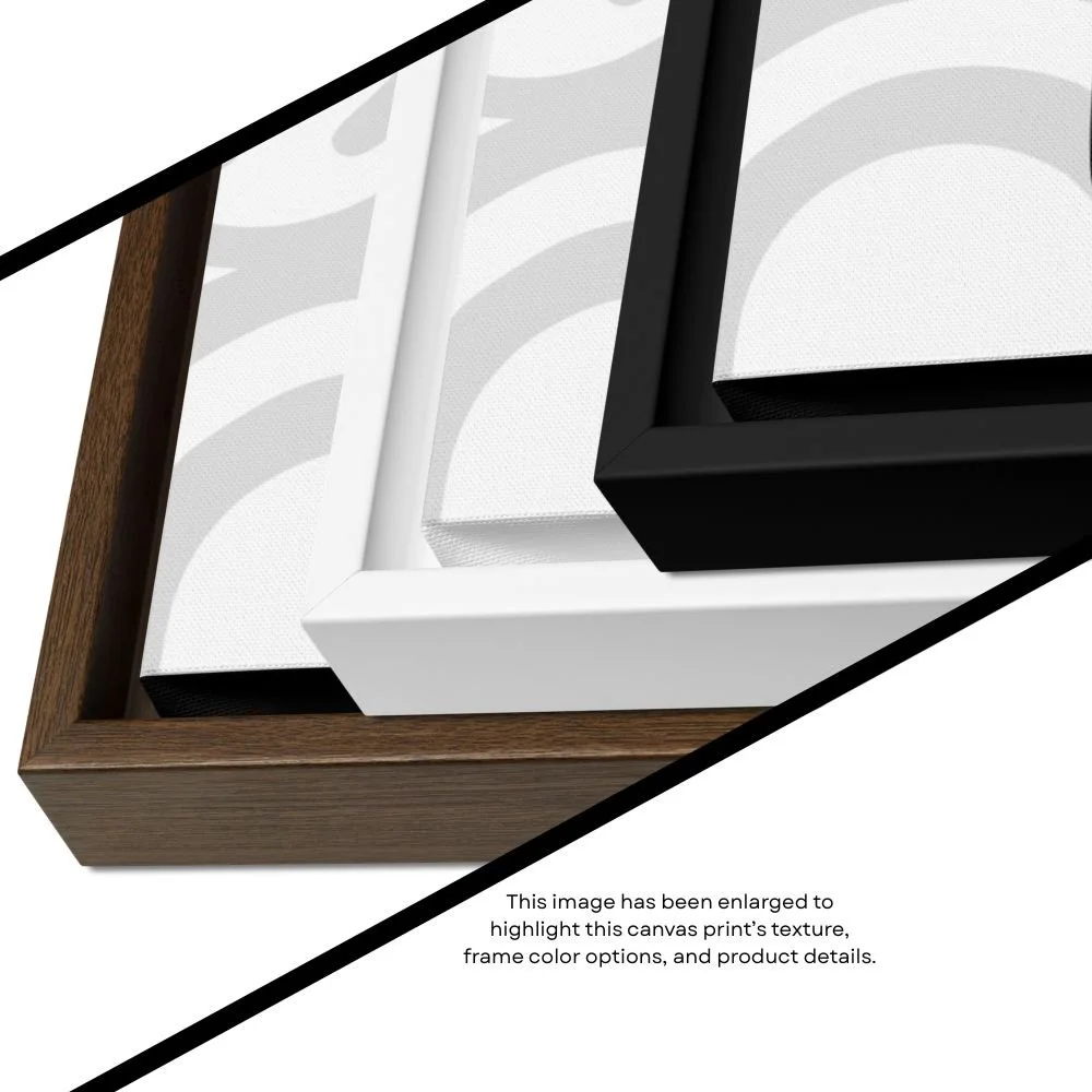 DSOC White DS Frames.jpg