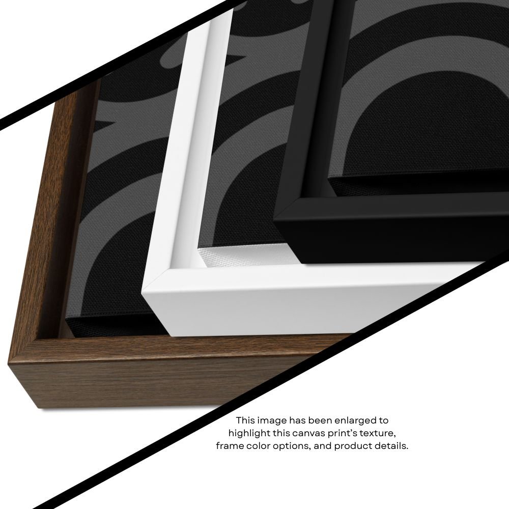 Black DS Frames.jpg