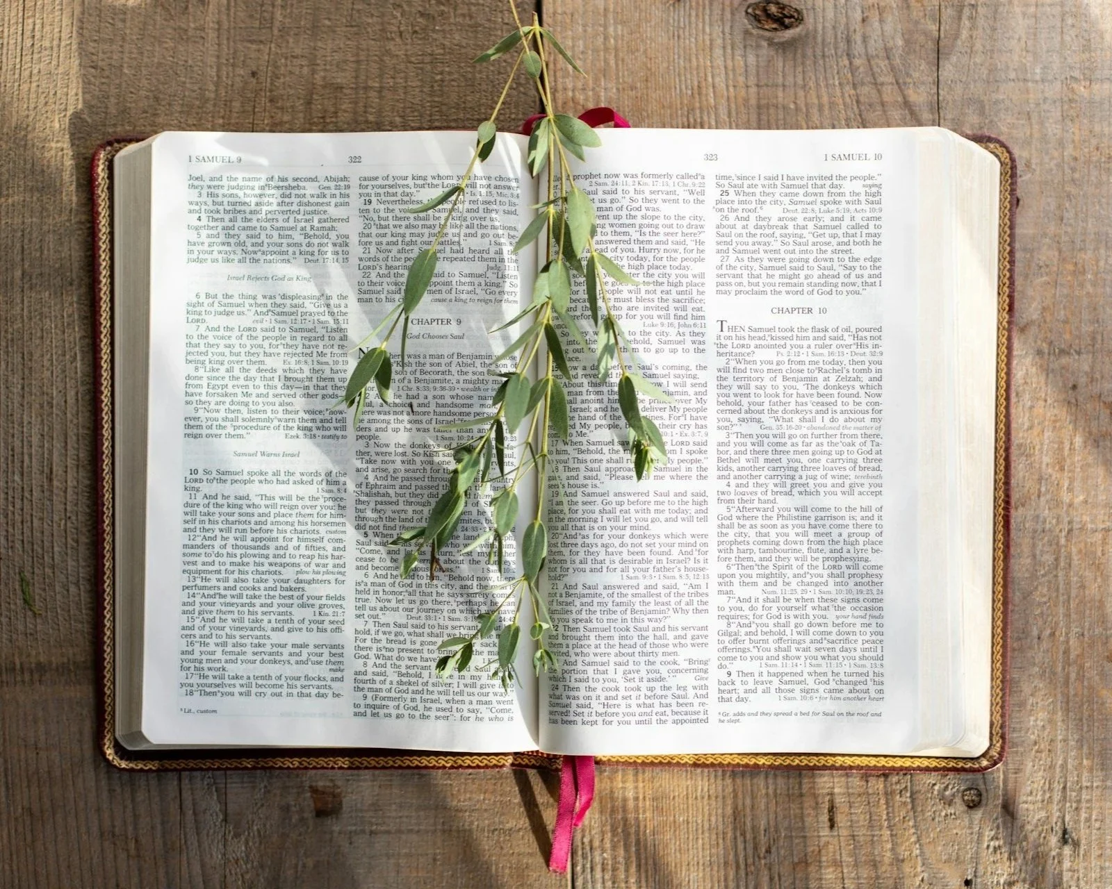 Open Bible resting on a rustic wooden surface with a sprig of greenery laid across the pages.
