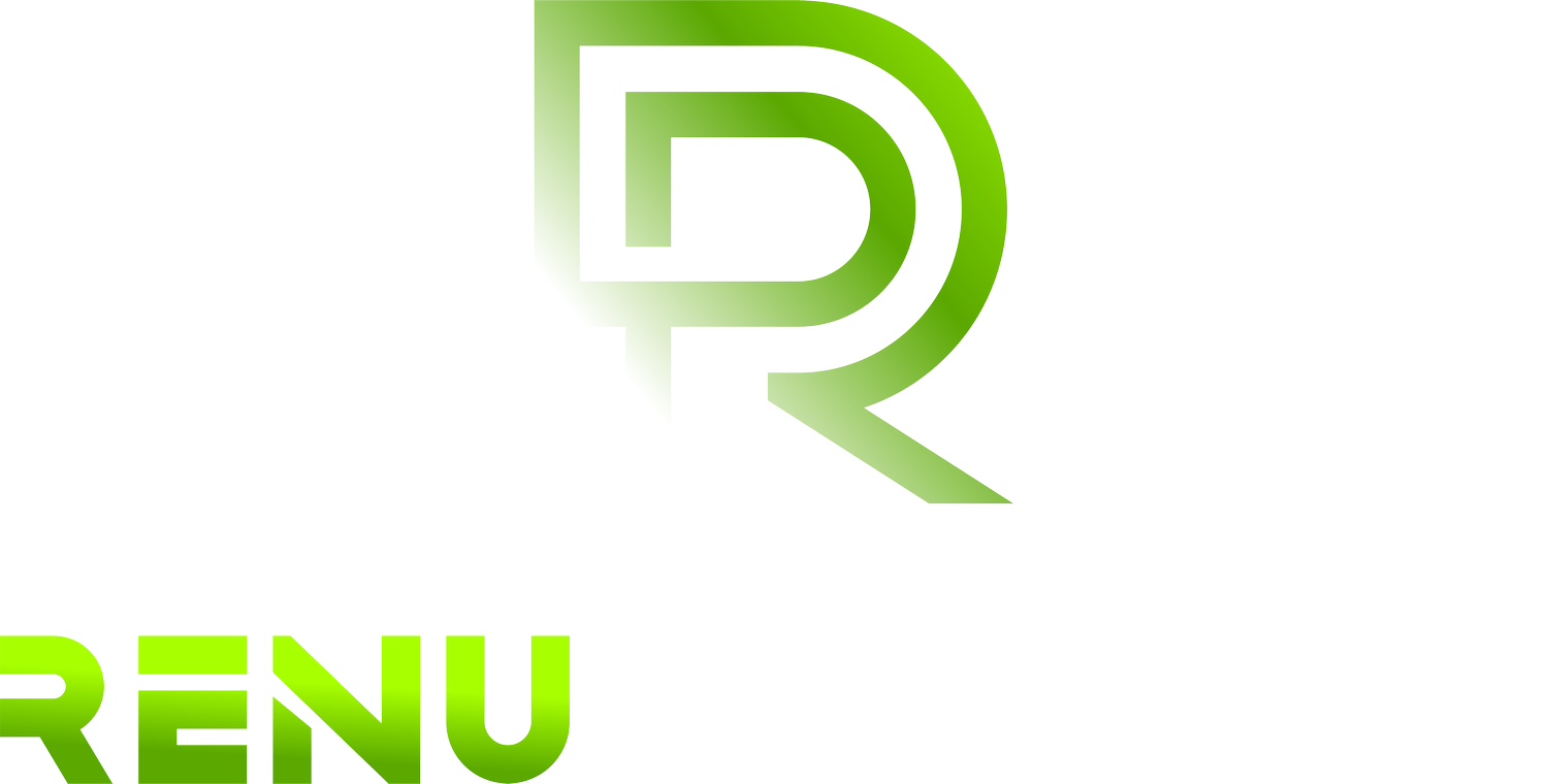 RenuPaintingUSA