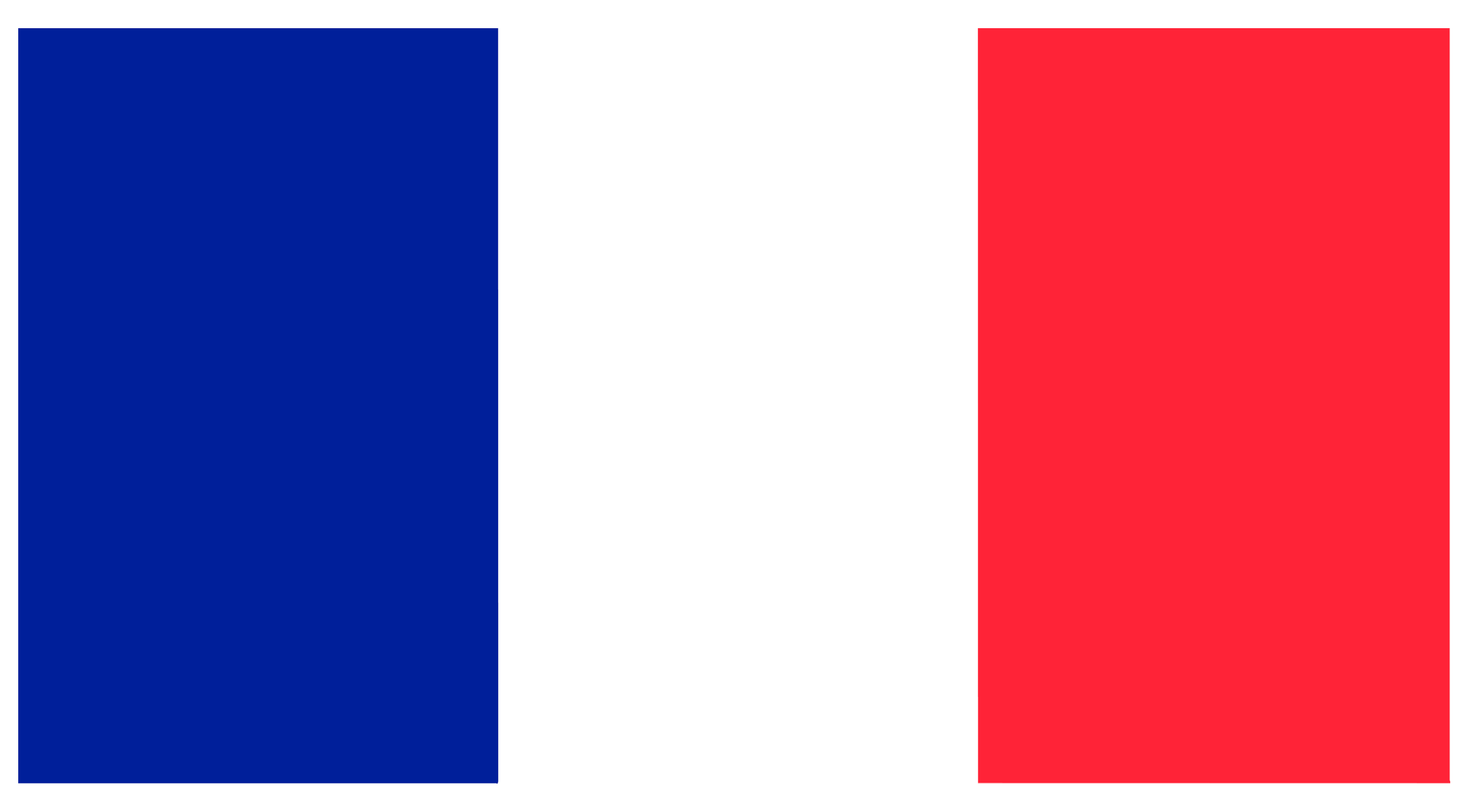 French flag for certified translation services.