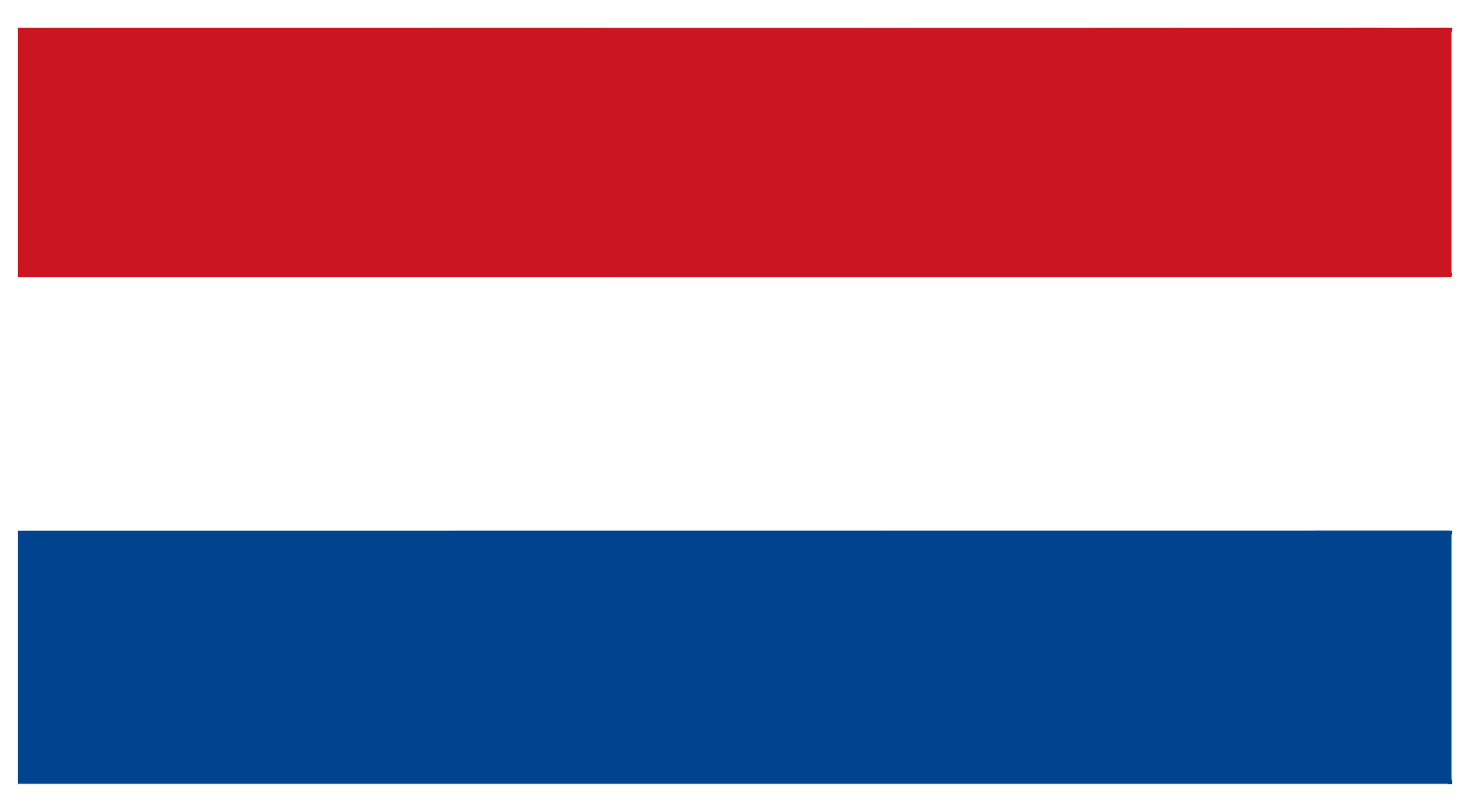 Bandera de Paises Bajos para servicios de traducción certificada.