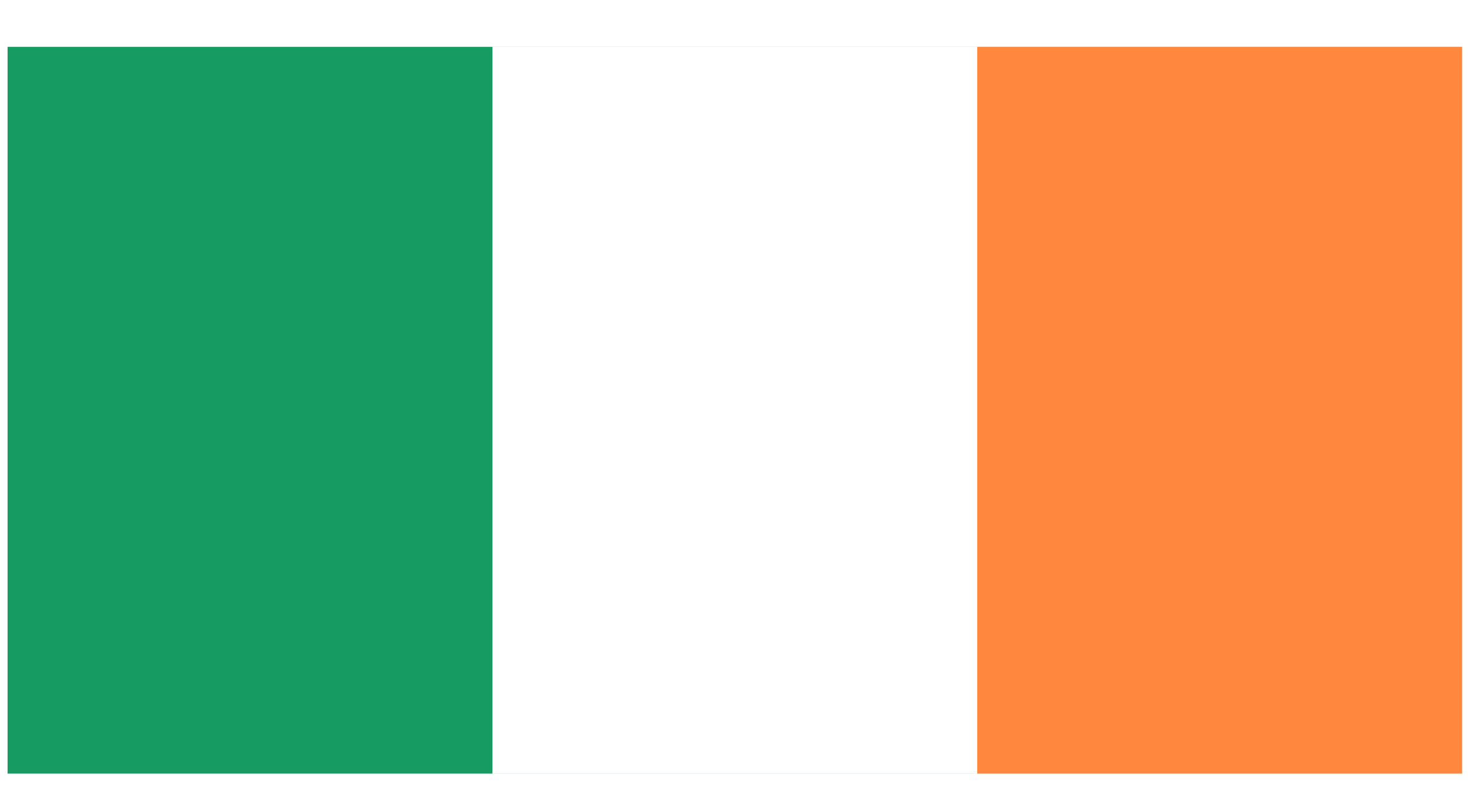 republic of ireland flag for certified translation services.