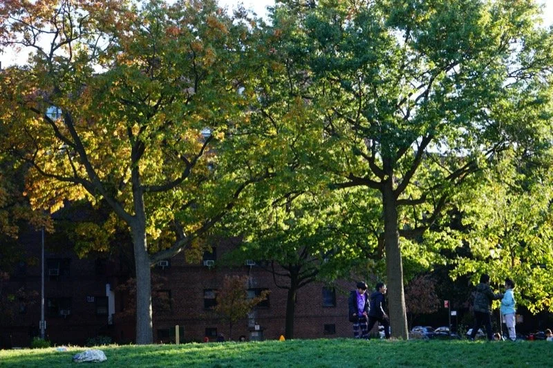 The Green Agenda for Jackson Heights