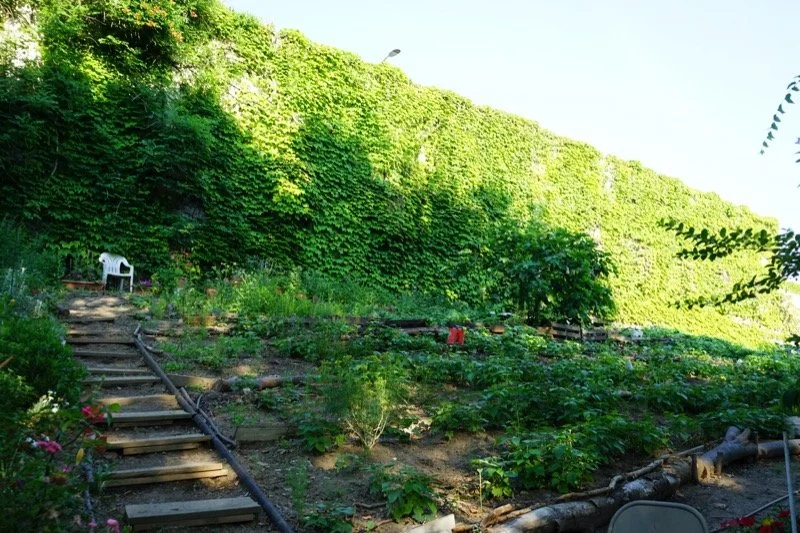 Gardening &amp; Beautification