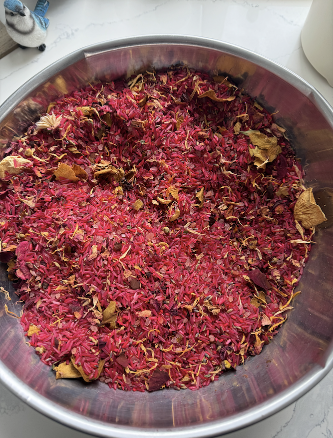 Screenshot 2026-02-28 at 11.13.13 AM.png