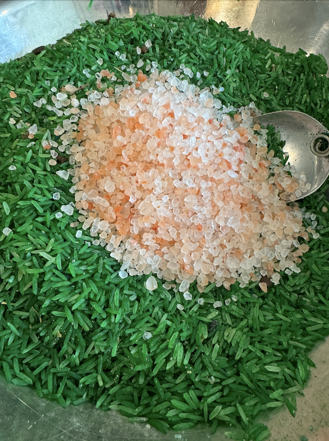 Screenshot 2026-02-28 at 10.23.58 AM.png