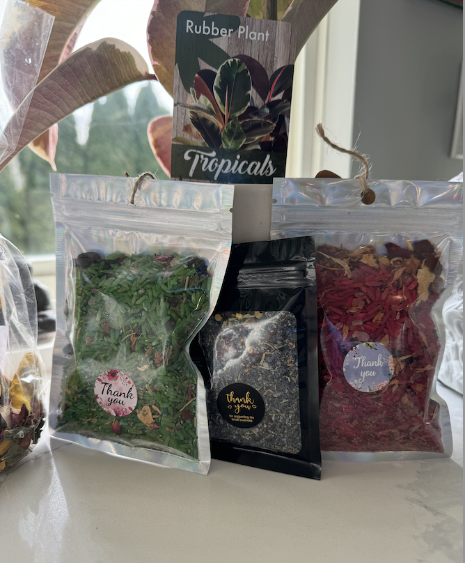 Screenshot 2026-02-28 at 11.15.46 AM.png