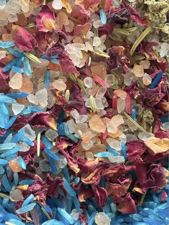 Screenshot 2026-02-28 at 10.44.33 AM.png