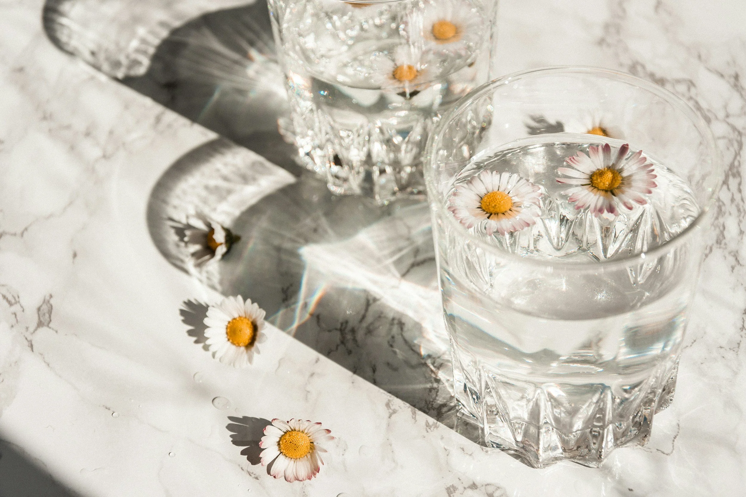 Two glass tumblers filled with water and daisies are placed on a white marble surface. Sunlight creates shadows and reflections on the surface and glasses.