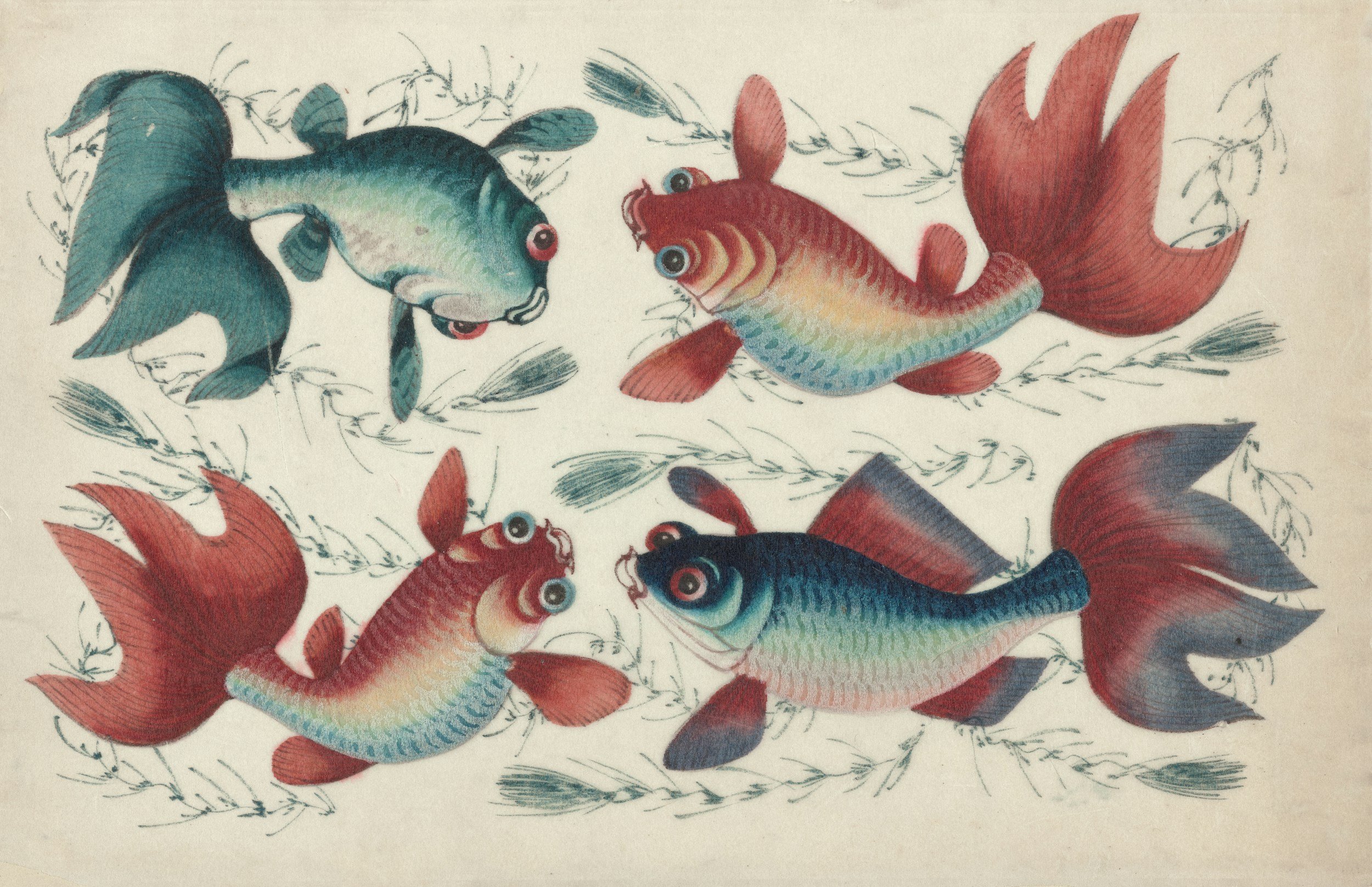 Illustration of five colorful fish swimming among aquatic plants.