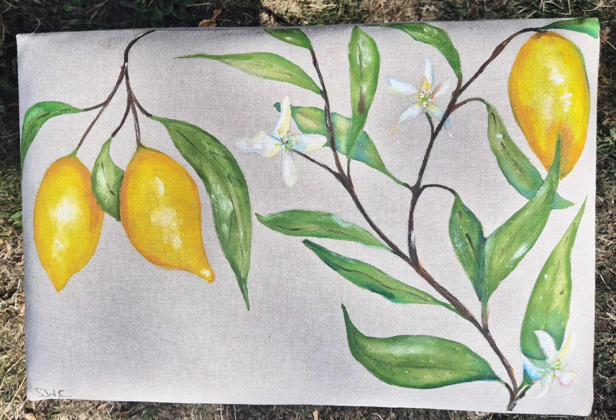 Lemons kitchen stool stock.jpg