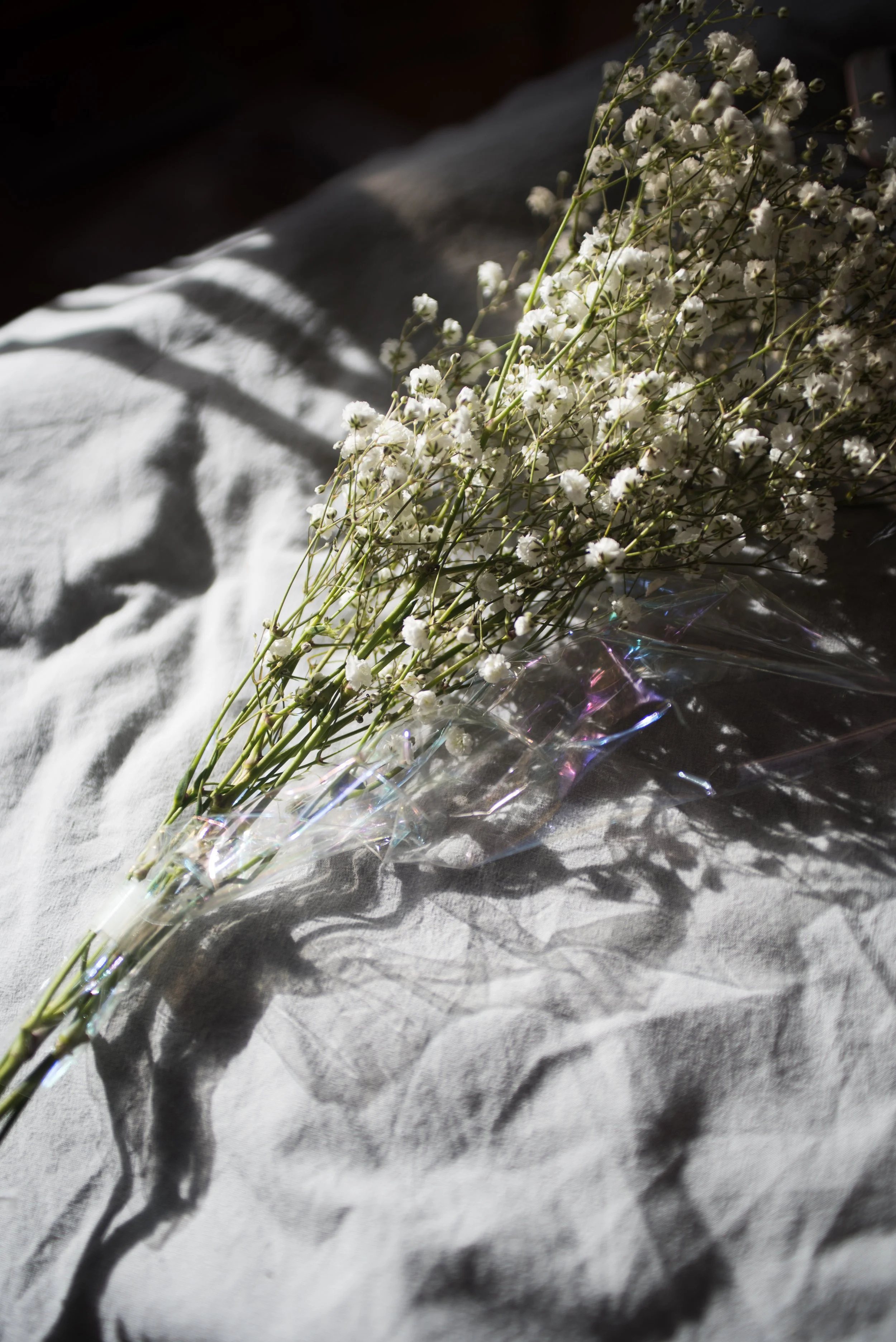 A bouquet of white baby's breath flowers wrapped in clear, iridescent plastic, lying on gray fabric with shadows.