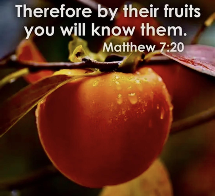 Known by Their Fruits