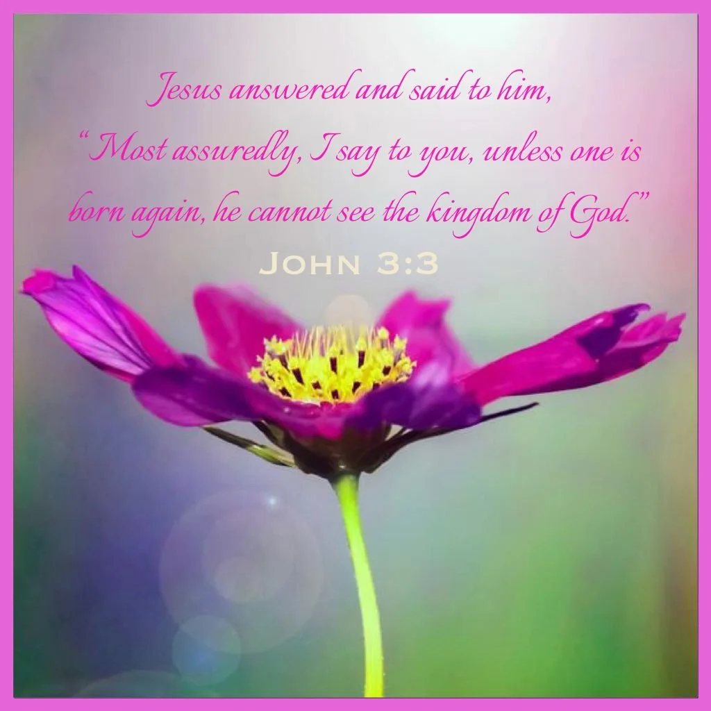 Raised to Life and Ready for the Day