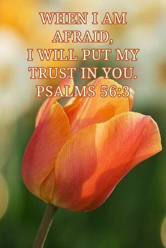 When Fear Tries to Boss You Around