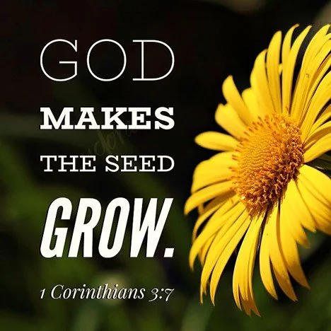 Shine Bright, Even if You Feel Like a Lightning Bug on Low Batteries