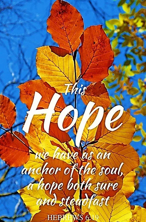 When Your Problems are Bigger than Your Muscles