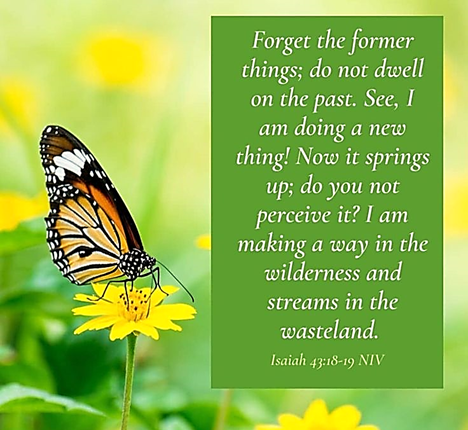 Pruned, Planted, and Set Free