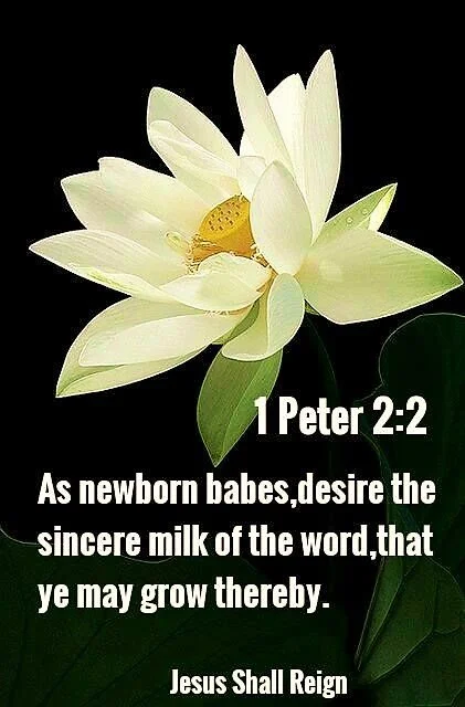 Don’t Live on Crumbs