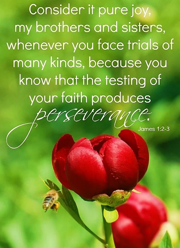 Cost of the Colors of the Kingdom