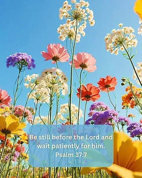 Blessings by the Brook