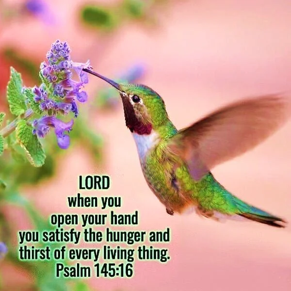 The Blessin’ in the Crumbs