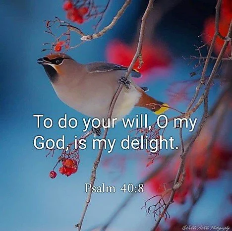 Sayin’ Yes When Your Heart Wants No