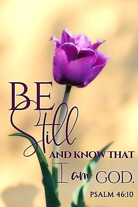 Stop Guessin’ and Start Restin’