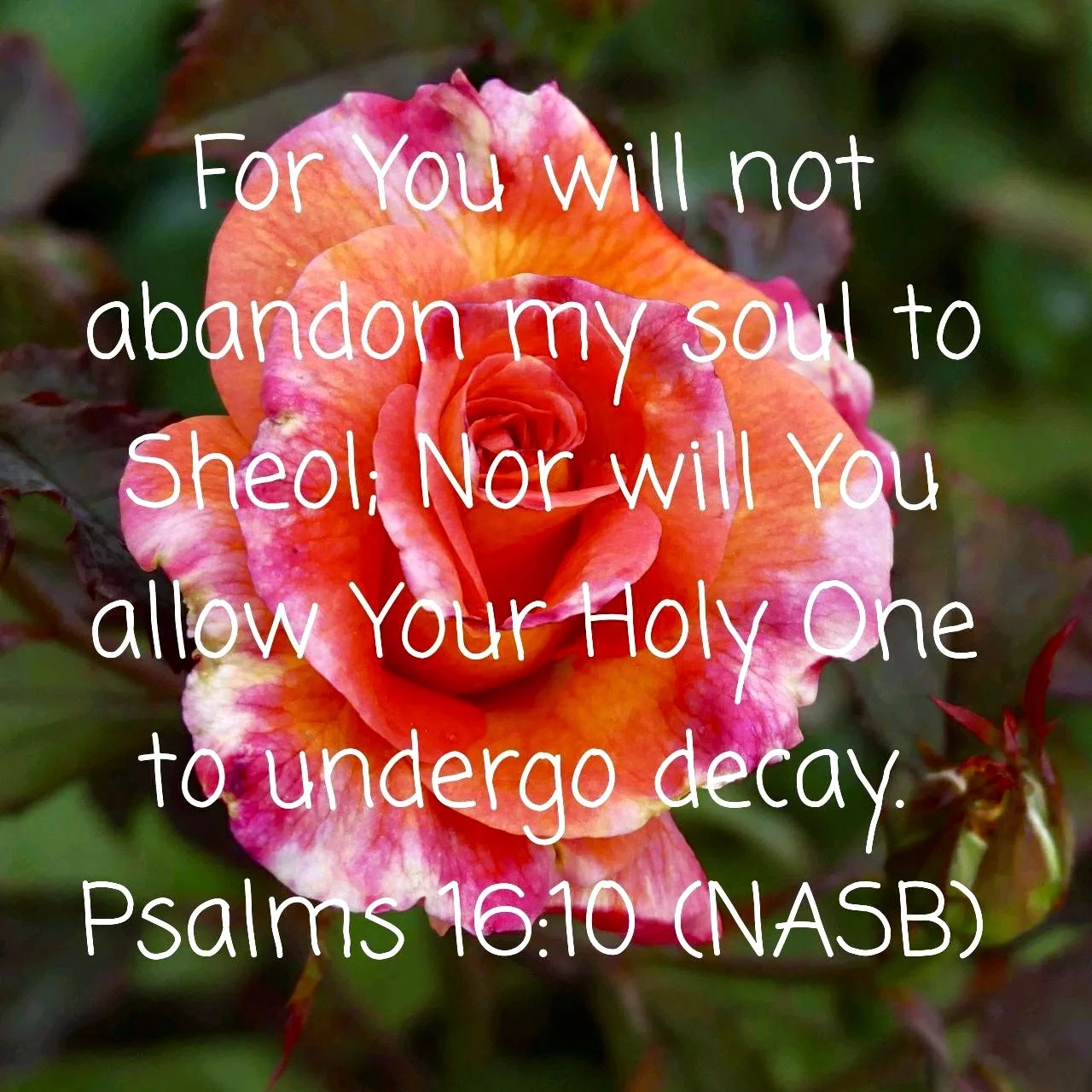 The Day Hope Held its Breath