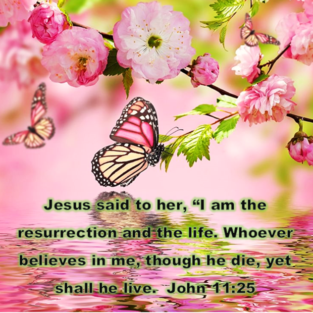 The Sunrise that Changed Everything