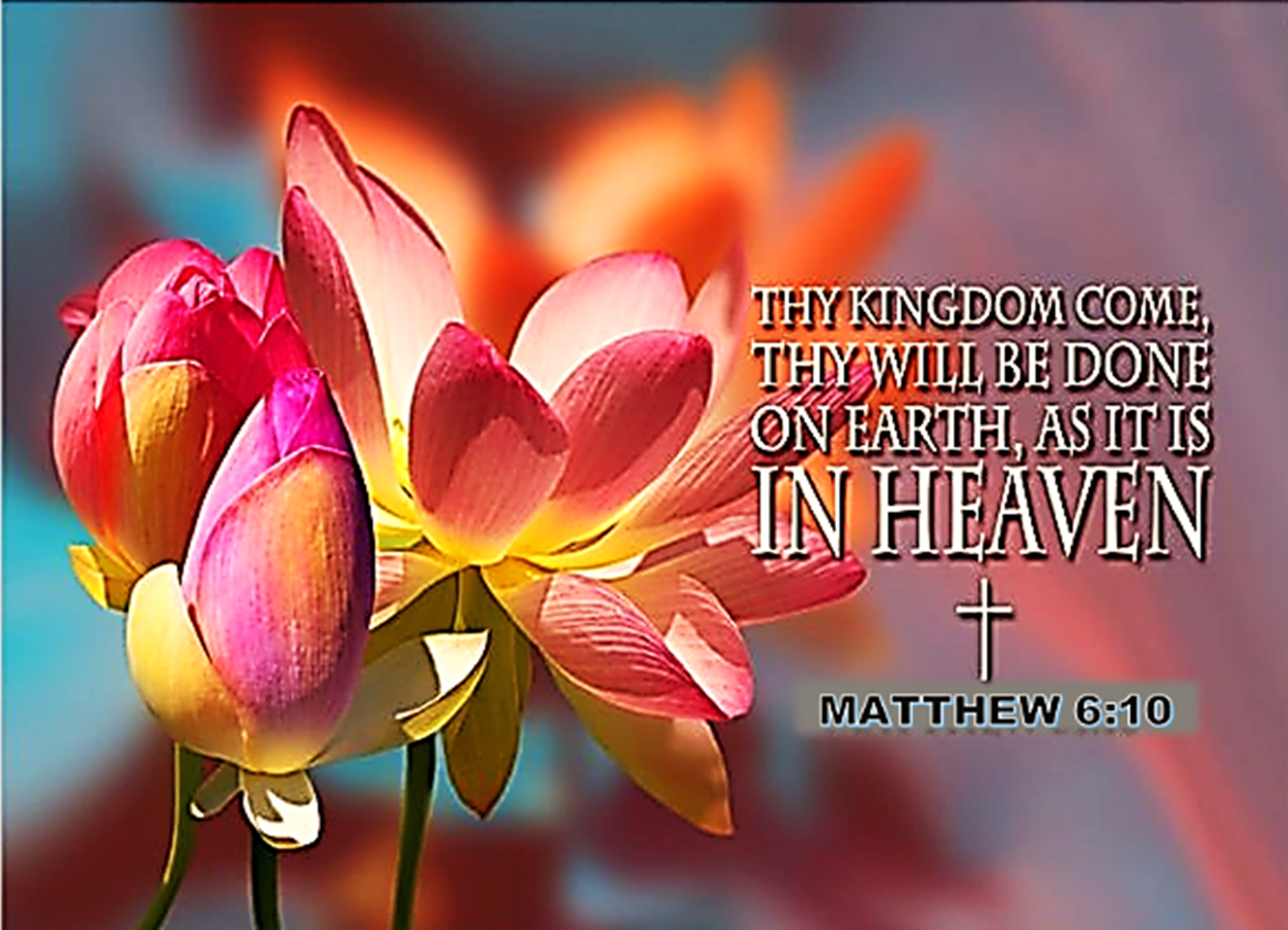 When God Says No, Slow, Grow, or Grow