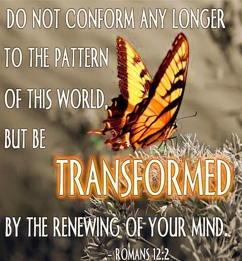 Don’t Let the World Talk You Silly