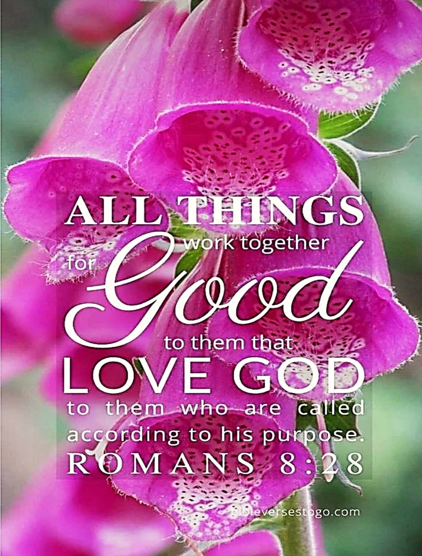 The Betrayal that Backfired