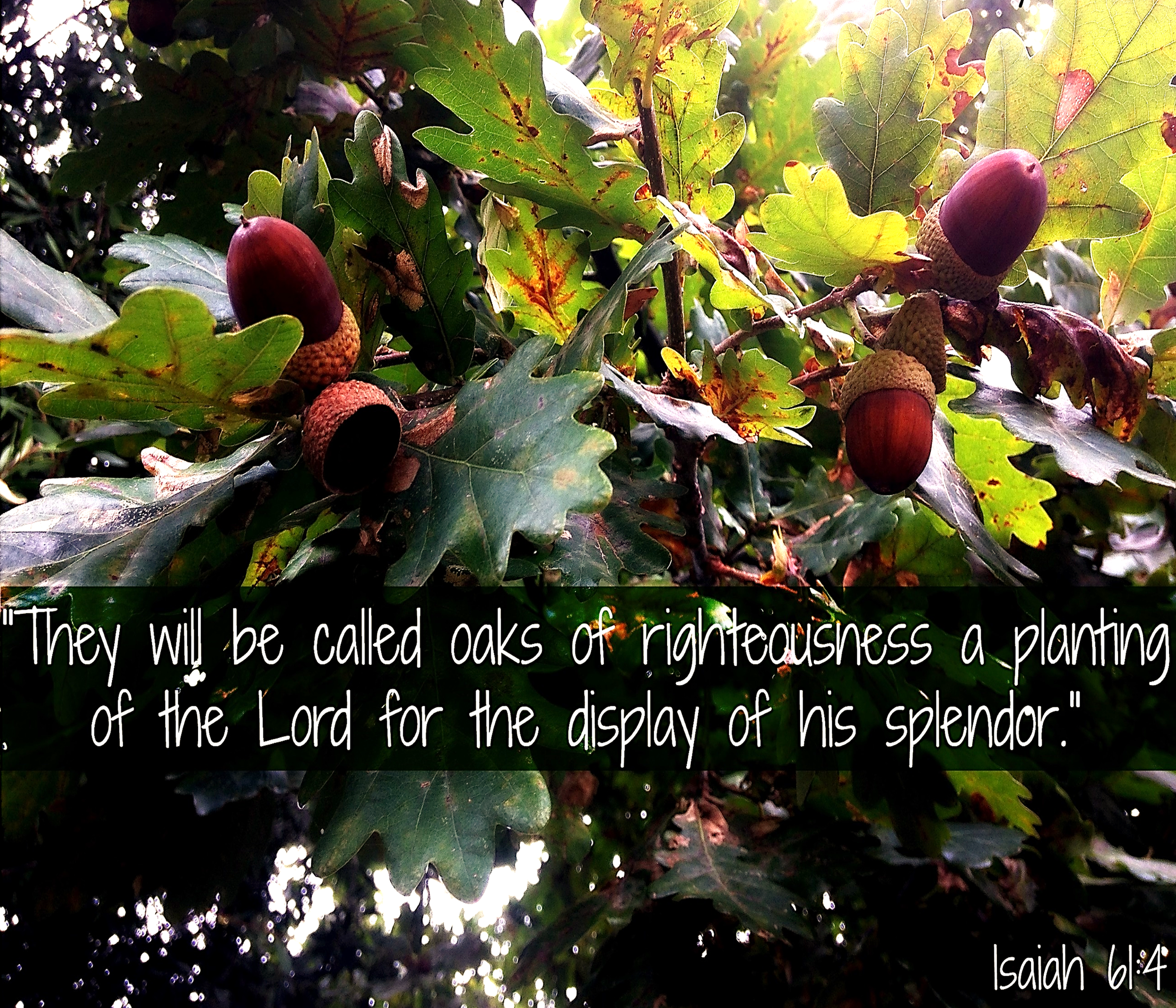 The Great Heavenly Makeover