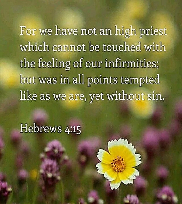 He Knows Our Sorrows