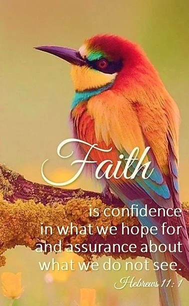 Faith That Sits All the Way Down