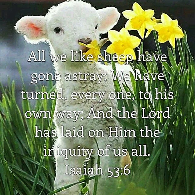 Bless My Wanderin’ Heart