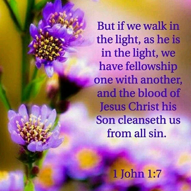 Get Back in the Light