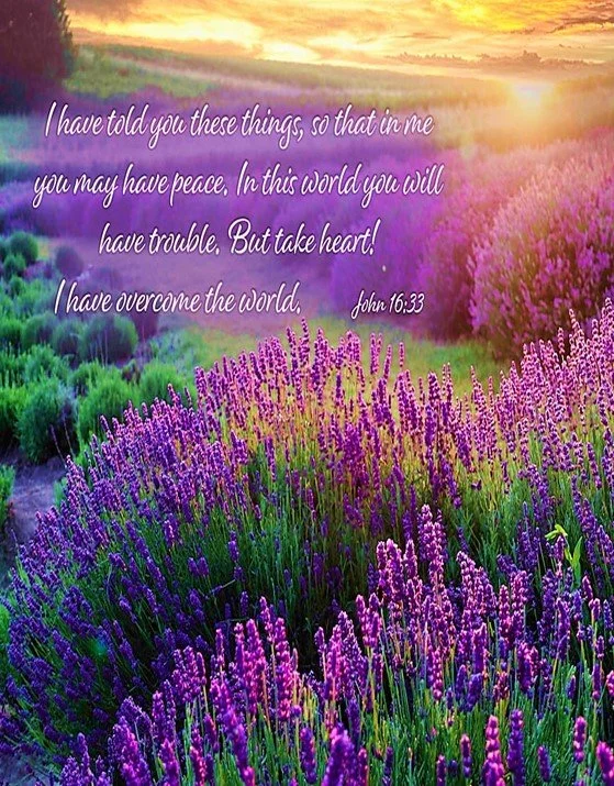 From Harm to Hallelujah