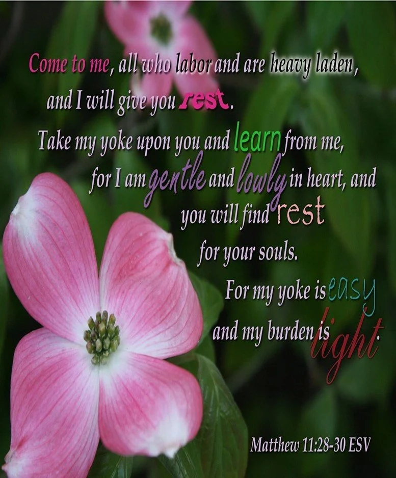 The Sweetest Invitation