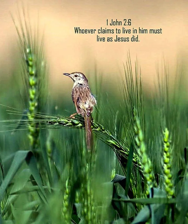 Keeping Pace With the Lord