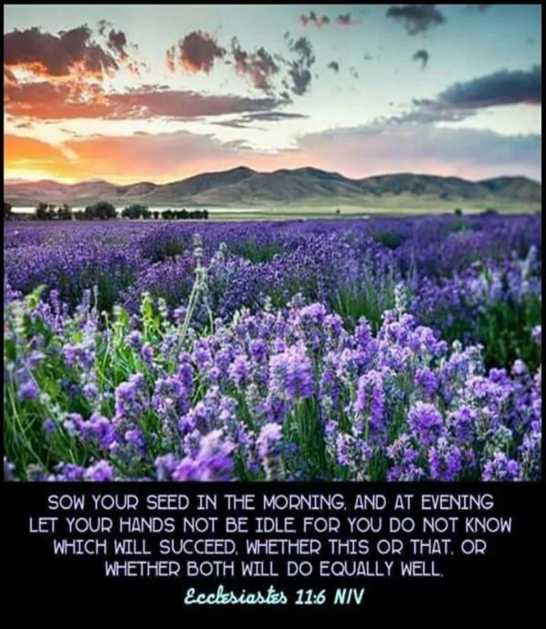 Small Seeds, Big God