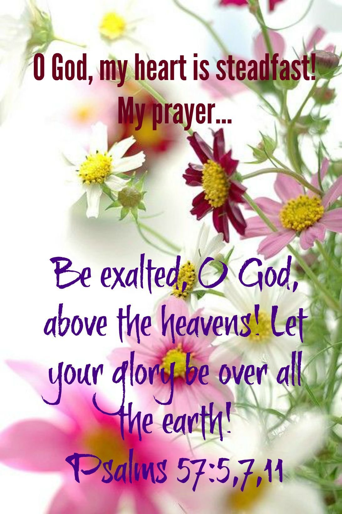 Joyful Noise Required!