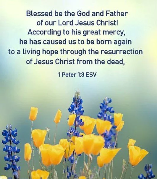 Fresh Mercies