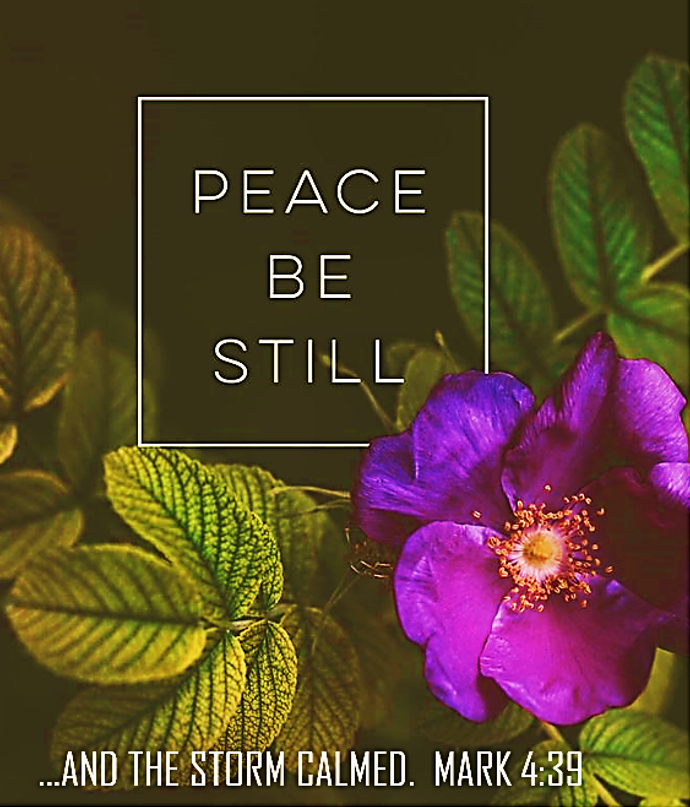 The Calm That Carries You